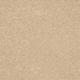 Abingdon Celestial Carpet - Whispering Sand