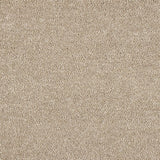 Abingdon Celestial Carpet - Winterstone