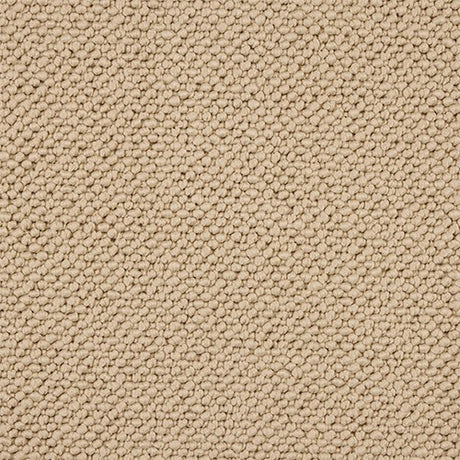Abingdon Dalesman Carpet - Plain - Almond Bisque