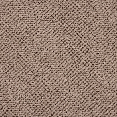 Abingdon Dalesman Carpet - Plain - Cappuccino