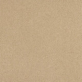 Abingdon Pure Velvet Carpet - Cashmere