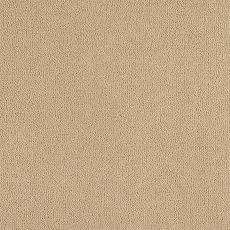 Abingdon Pure Velvet Carpet - Cashmere