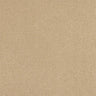 Abingdon Pure Velvet Carpet - Cashmere
