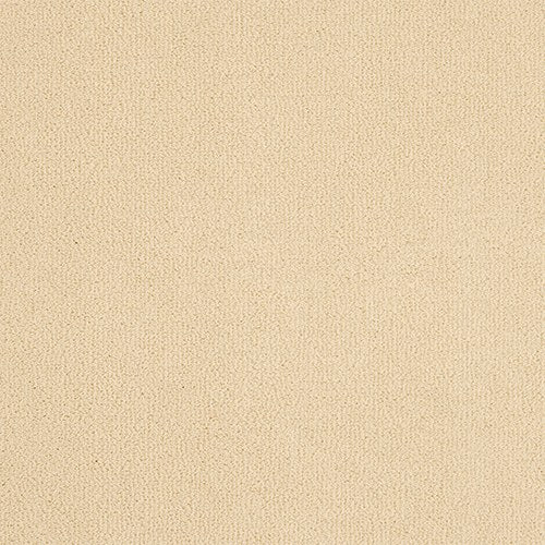 Abingdon Pure Velvet Carpet - Champagne White