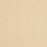 Abingdon Pure Velvet Carpet - Champagne White