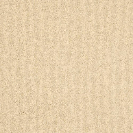 Abingdon Pure Velvet Carpet - Champagne White
