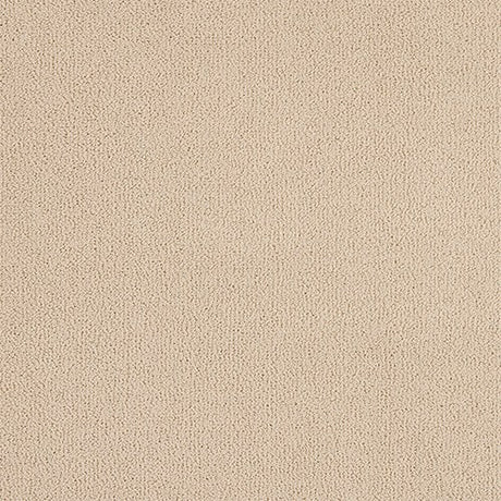 Abingdon Pure Velvet Carpet - Dawn Swim