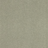 Abingdon Pure Velvet Carpet - Moles Breath