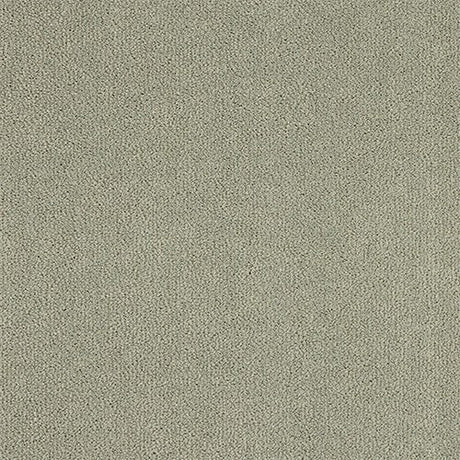Abingdon Pure Velvet Carpet - Moles Breath