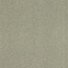 Abingdon Pure Velvet Carpet - Moles Breath