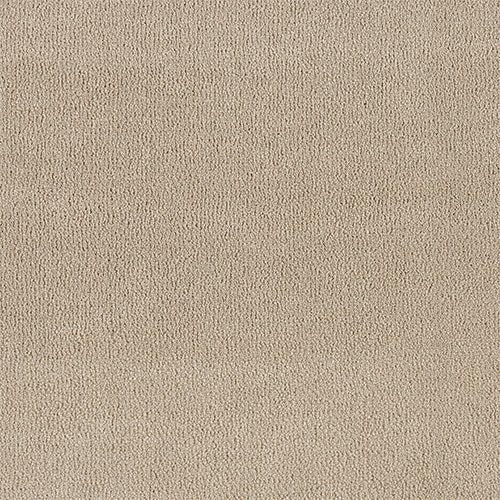 Abingdon Pure Velvet Carpet - Moonshot