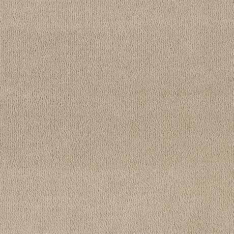 Abingdon Pure Velvet Carpet - Moonshot