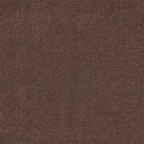 Abingdon Pure Velvet Carpet - Mouses Back