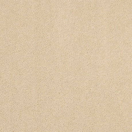 Abingdon Pure Velvet Carpet - Pearl