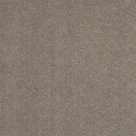 Abingdon Pure Velvet Carpet - Plummet