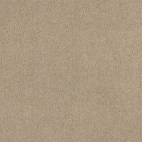 Abingdon Pure Velvet Carpet - Shale Rock
