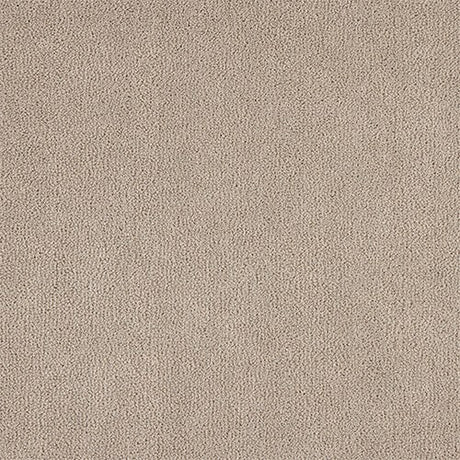 Abingdon Pure Velvet Carpet - Steeple Grey