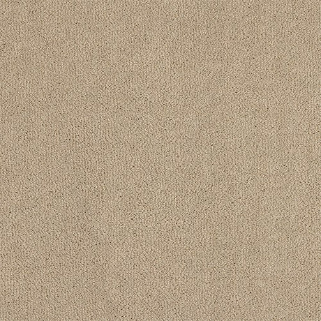 Abingdon Pure Velvet Carpet - Storms Coming