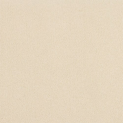 Abingdon Pure Velvet Carpet - Strong White