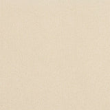 Abingdon Pure Velvet Carpet - Strong White