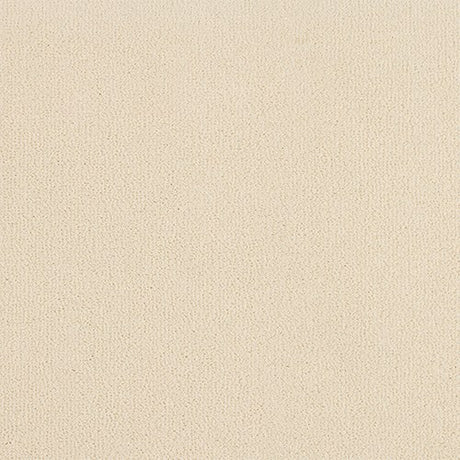 Abingdon Pure Velvet Carpet - Strong White