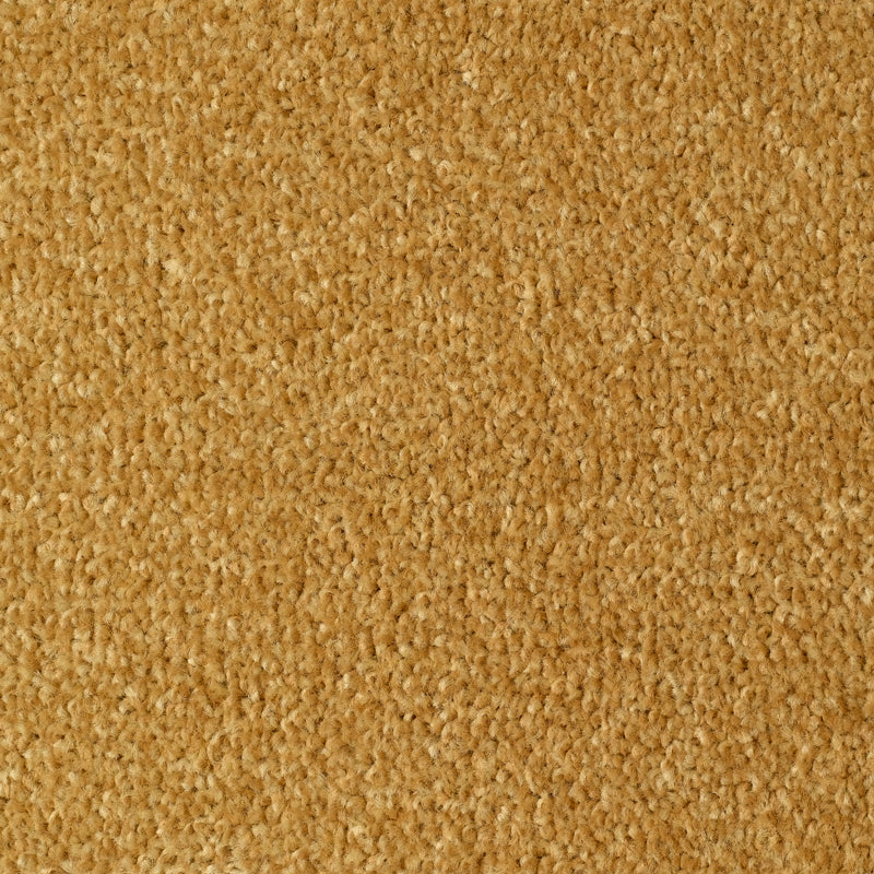 Bexhill Carpet