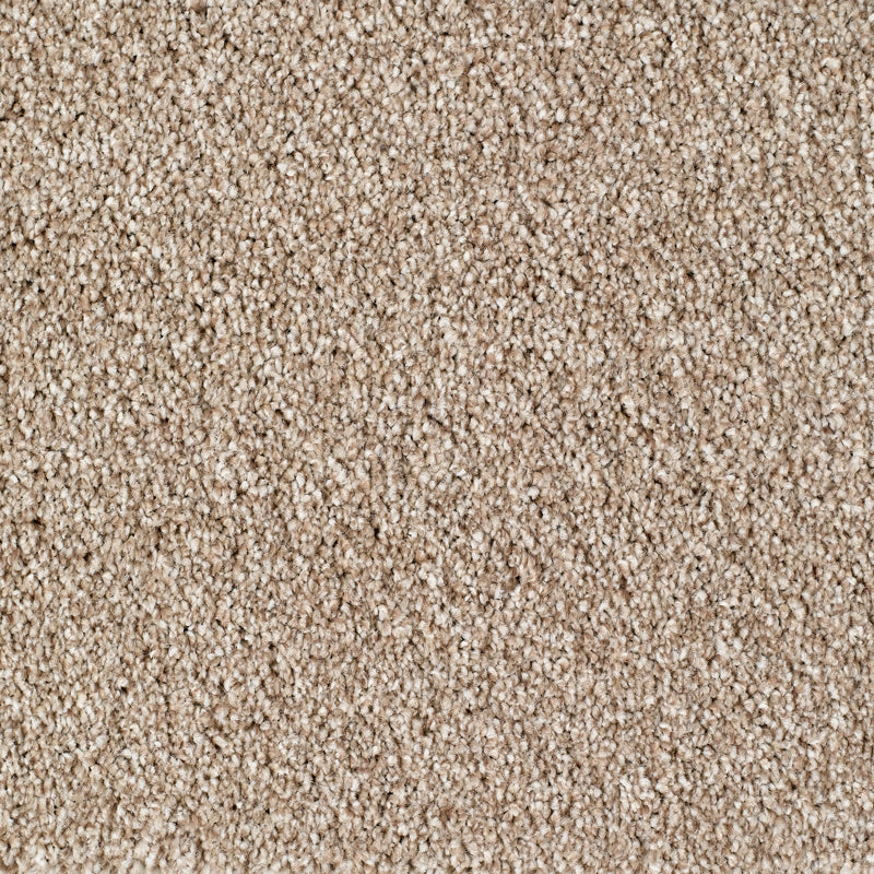 Bridgeport Carpet