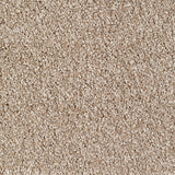 Bridgeport Carpet