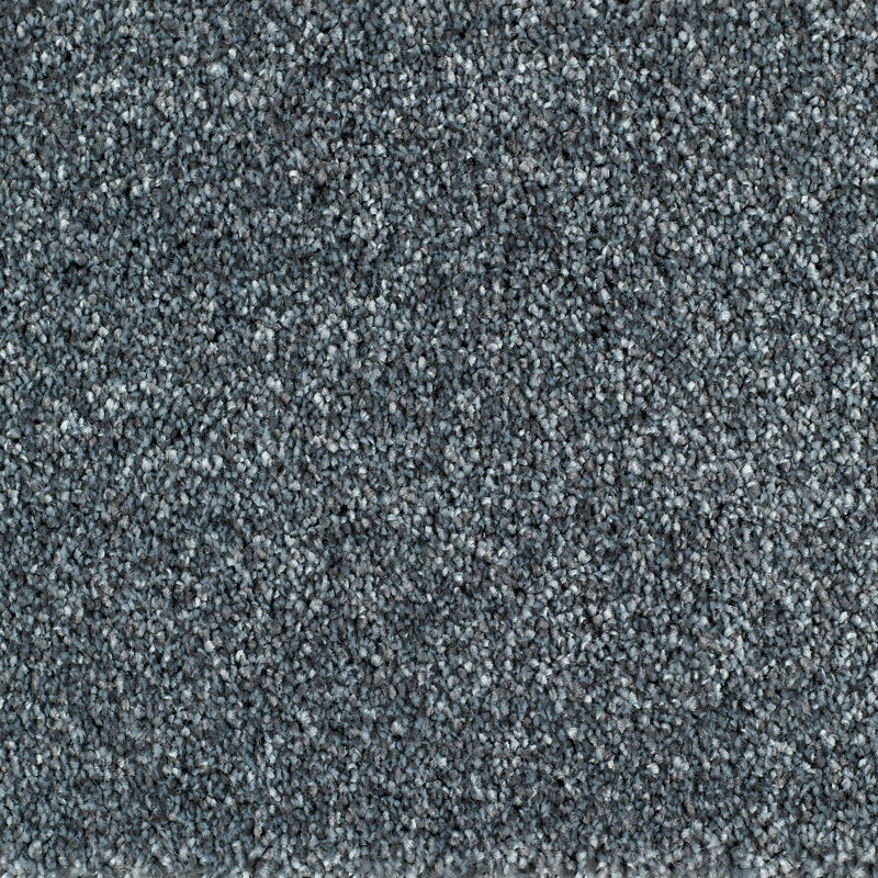Bridgeport Carpet