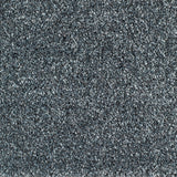 Bridgeport Carpet
