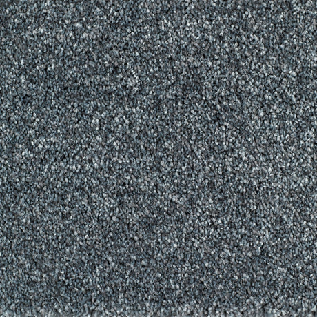 Bridgeport Carpet