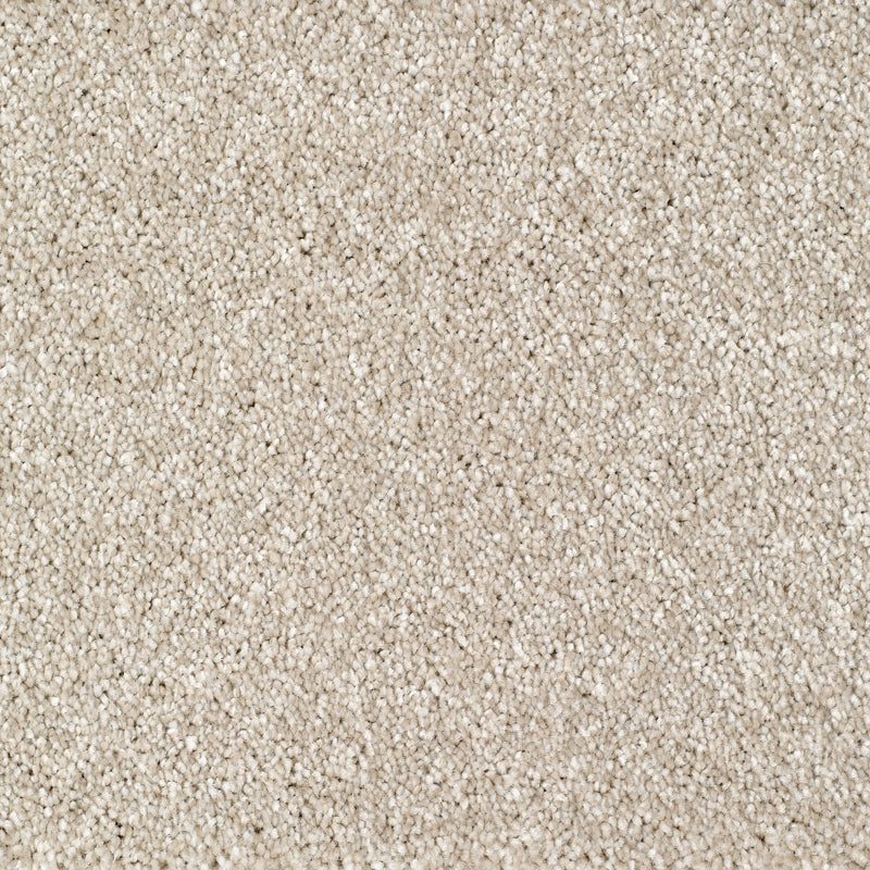 Bridgeport Carpet