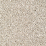 Bridgeport Carpet