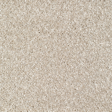 Bridgeport Carpet