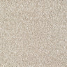 Bridgeport Carpet