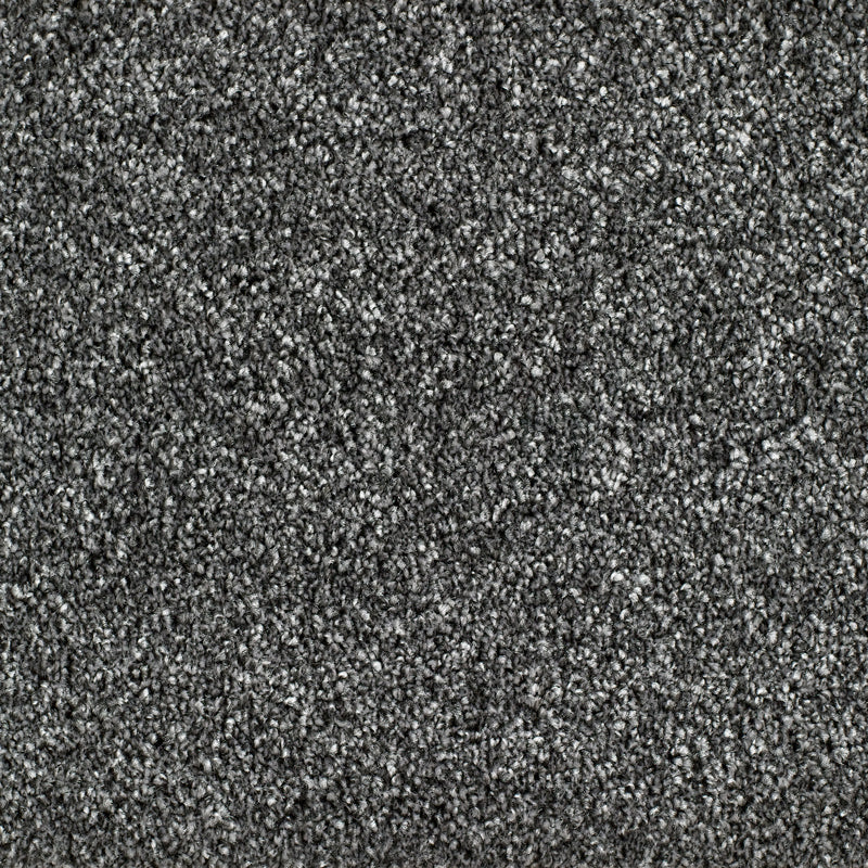 Bridgeport Carpet