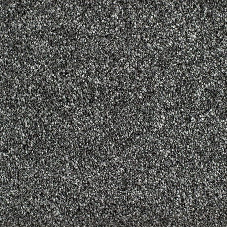Bridgeport Carpet
