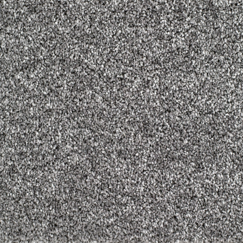 Bridgeport Carpet