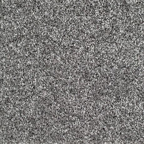 Bridgeport Carpet