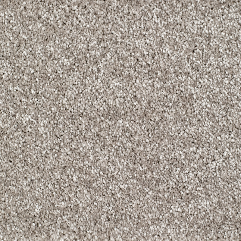 Bridgeport Carpet