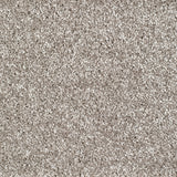Bridgeport Carpet