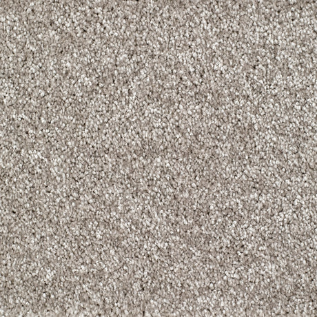Bridgeport Carpet