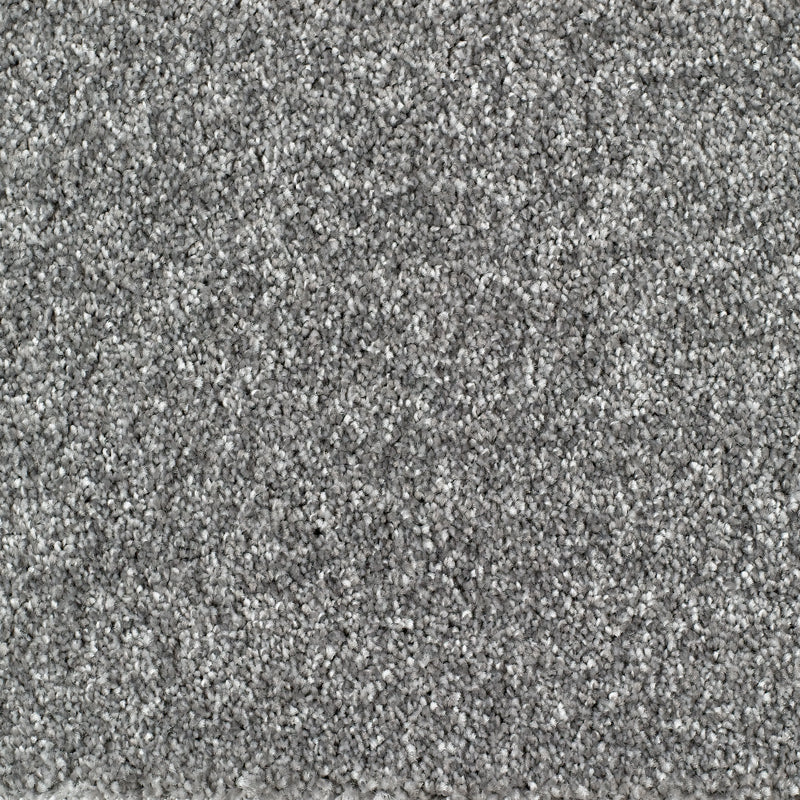 Bridgeport Carpet