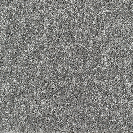 Bridgeport Carpet