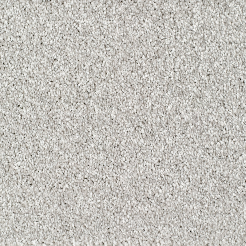Bridgeport Carpet