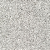 Bridgeport Carpet