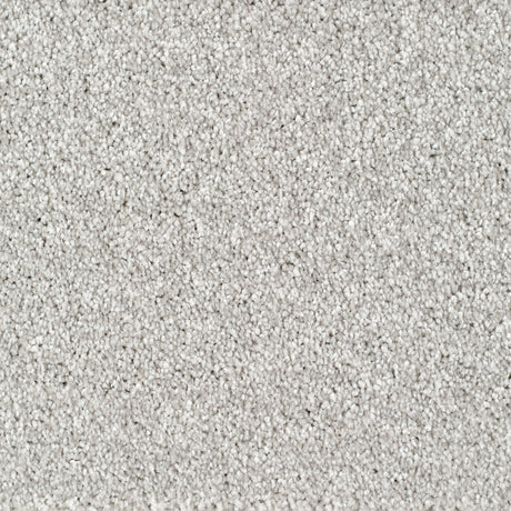 Bridgeport Carpet