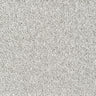 Bridgeport Carpet