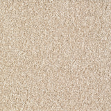 Brixham Carpet