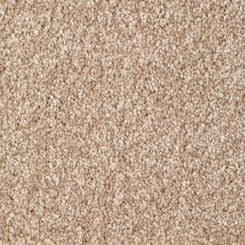 Brixham Carpet